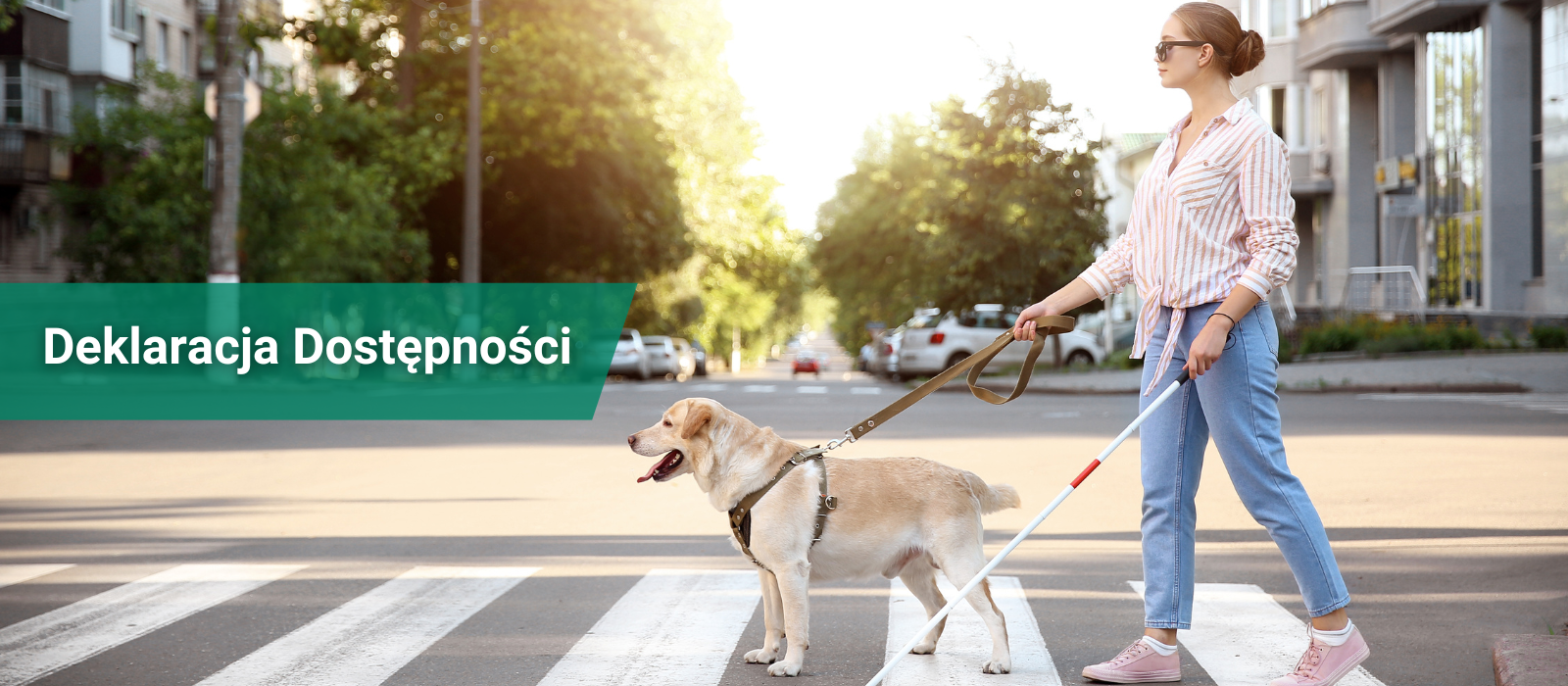 Ilustracja dekoracyjna